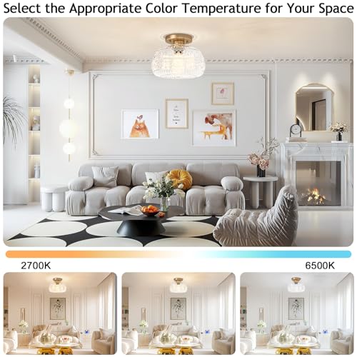 9" Clear Glass Flush Mount Ceiling Light Fixture