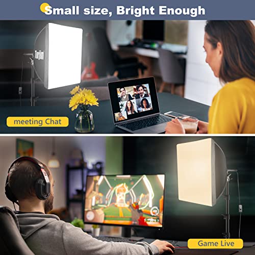 Softbox Photography Lighting Kit