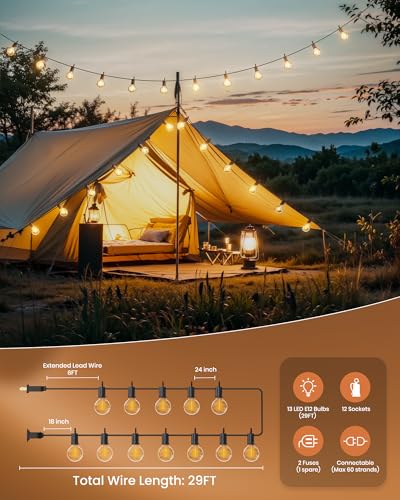 Outdoor String Lights (25 Foot)