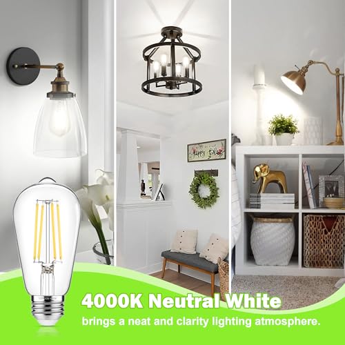 4 Pack Vintage Edison Bulbs 60W Equivalent (4 Count)