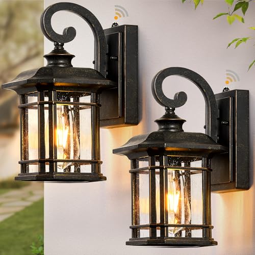 Exterior Lighting Fixtures Dusk to Dawn (2 Count)