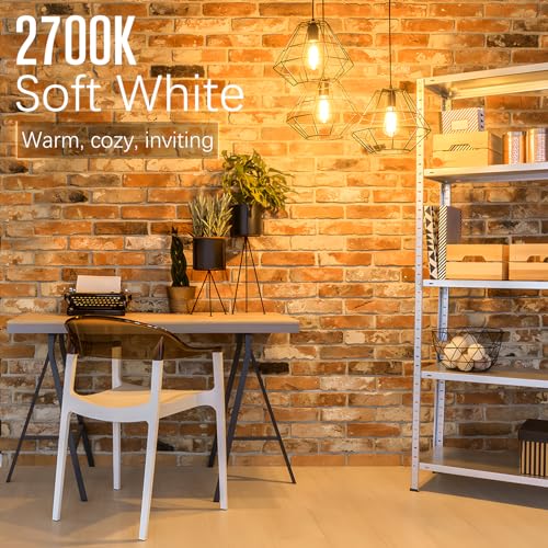 Soft White 2700K Edison Bulbs 60 watt Equivalent (24 Count)