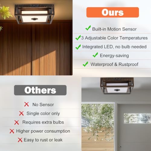LED Motion Sensor Outdoor Ceiling Light Dusk to Dawn Black Brushed Gold