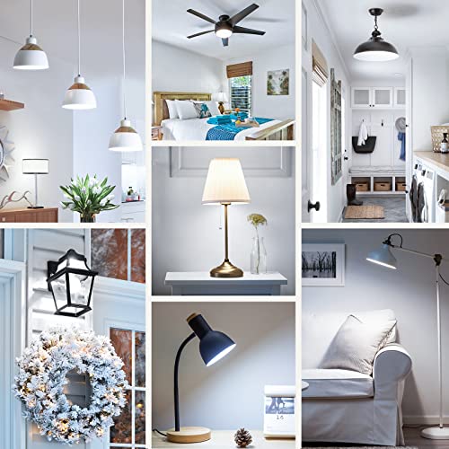 A19 LED Light Bulbs (30 Count)
