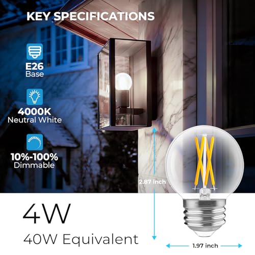 E26 Base G16.5 Edison Globe LED Bulb (6 Count)