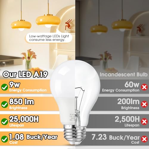 A19 LED Light Bulbs (24 Count)