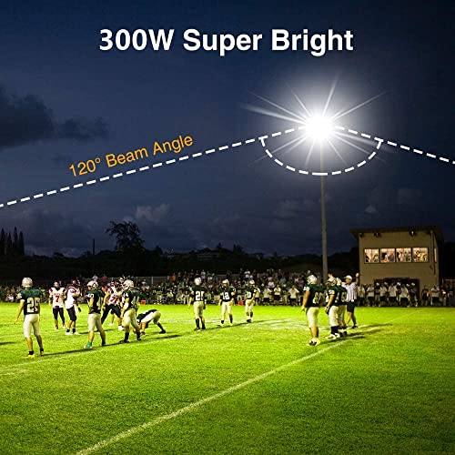 300W LED Flood Light