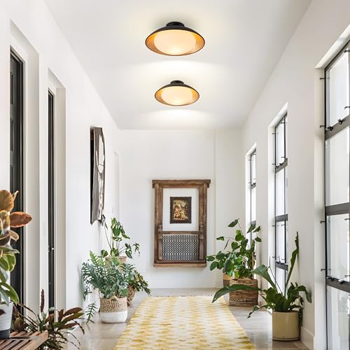 Milk Glass Flush Mount Ceiling Light