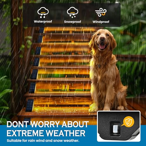 Solar Step Lights (12 Count)