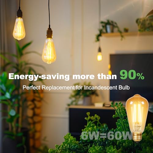 E26 Edison Bulbs 60W (2 Count)