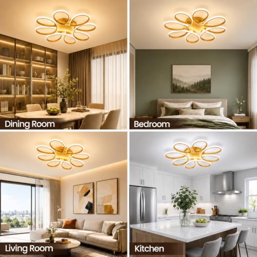 29.53 inch Modern LED Ceiling Light