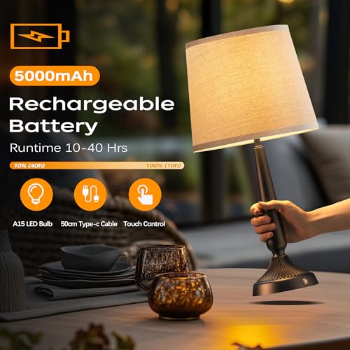 Cordless Table Lamp