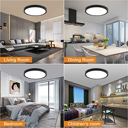 Dimmable Flush Mount Ceiling Light