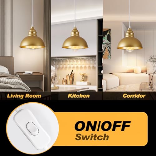 Plug in Pendant Light