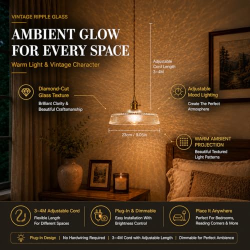 Vintage Plug in Pendant Light with Thickened Clear Glass Shade