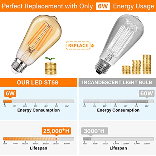 Dimmable Vintage LED Edison Bulbs 60W Equivalent 6W 850 Lumens (12 Count)