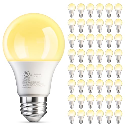 48 Pack A19 LED Light Bulbs Soft Warm White 2700K (48 Count)