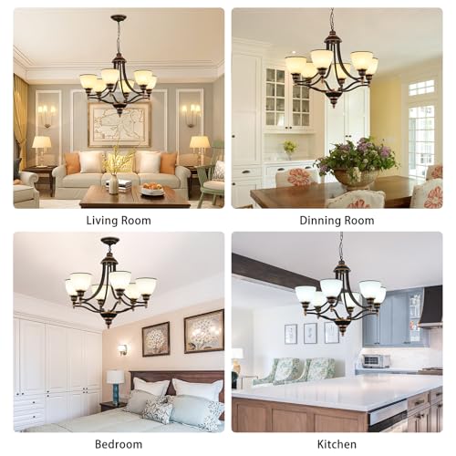6 Light Chandelier