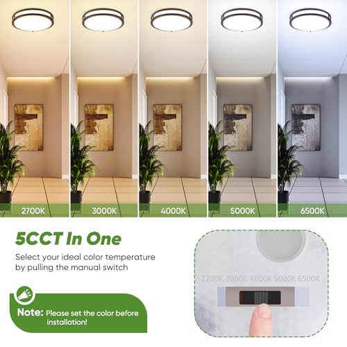 1 Pack 36W LED Ceiling Light
