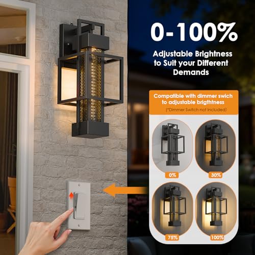 2 Pack Dusk to Dawn Outdoor Exterior Lighting Fixtures Wall Mount (2 Count)