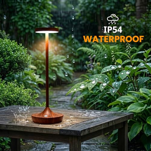 2 Pack Cordless Table Lamps