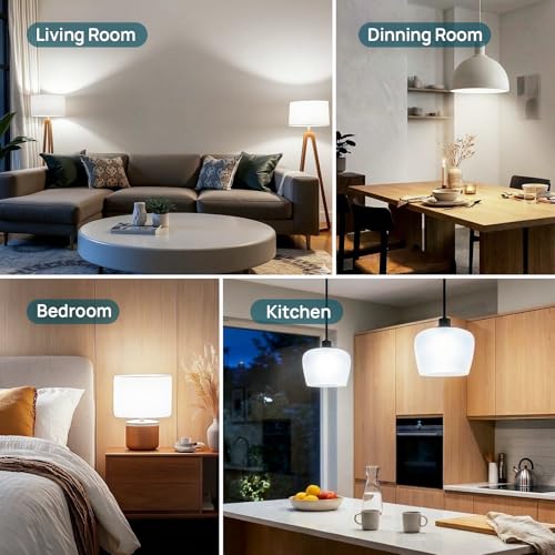 A19 LED Light Bulbs Dimmable (20 Count)
