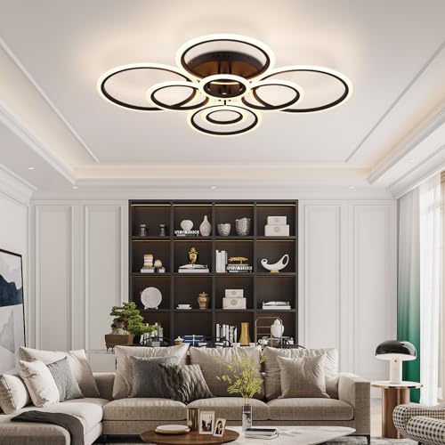 Modern Ceiling Light Fixture