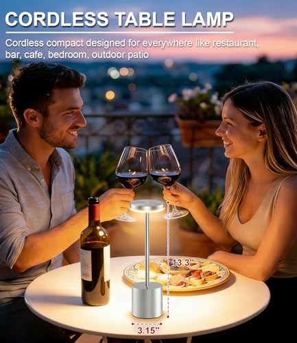 Silver Cordless Table Lamp Rechargeable (2 Count)