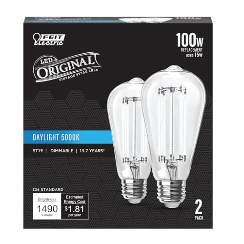 ST19 Vintage Edison LED Light Bulb (2 Count)