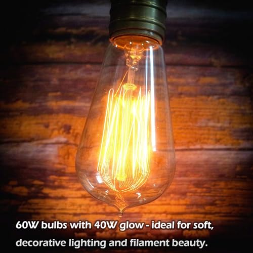 6 Pack Edison Light Bulb 60 Watt Dimmable ST58 Vintage Warm Bulb (6 Count)