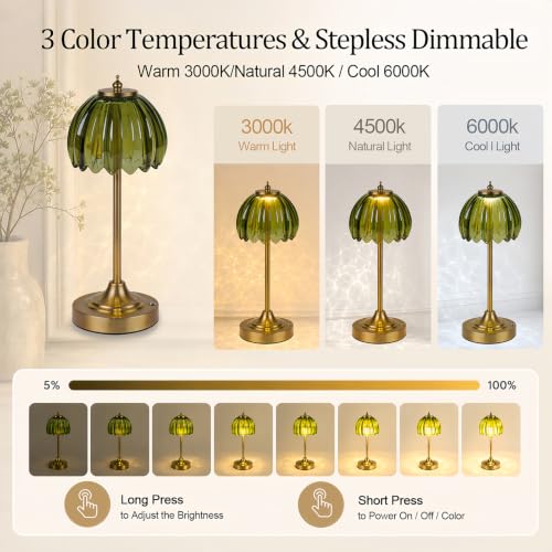 Rechargeable Cordless Table Lamp
