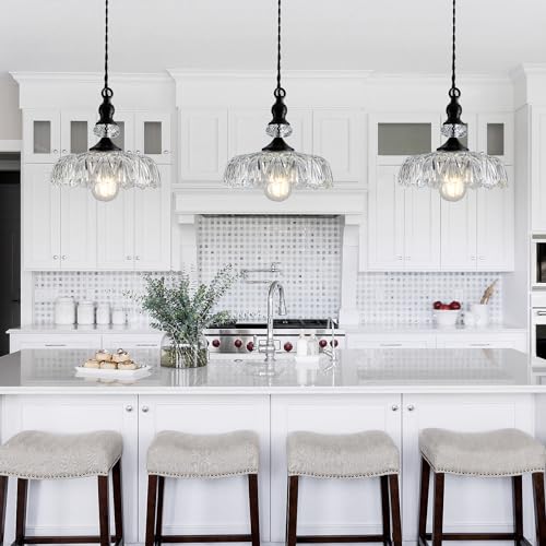Vintage Glass Pendant Light Fixture Black Modern Adjustable Chandelier Hanging Light for Farmhouse Dining Room Kitchen Bedroom Hallway Island