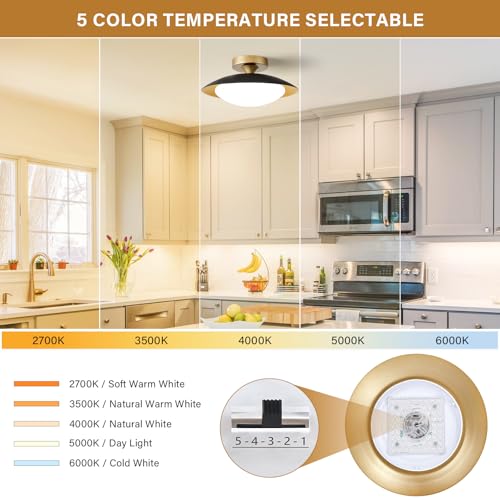 Dimmable Modern Mid