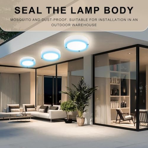 Flush Mount Ceiling Light