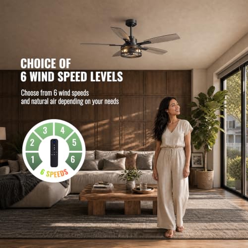 52 Inch Ceiling Fan with Light and Remote Control (Black / 52 Inch)