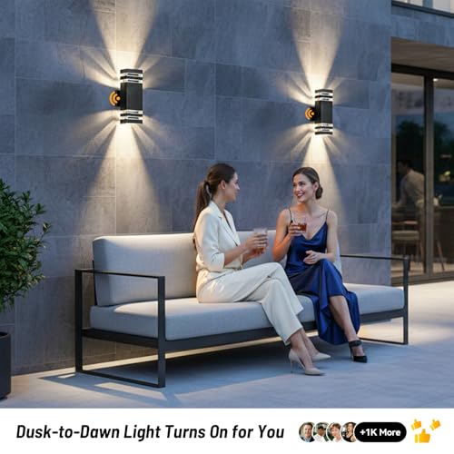 Outdoor Wall Lights 2 (2 Count)