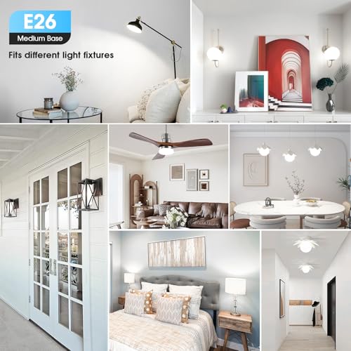A19 LED Light Bulbs (24 Count)