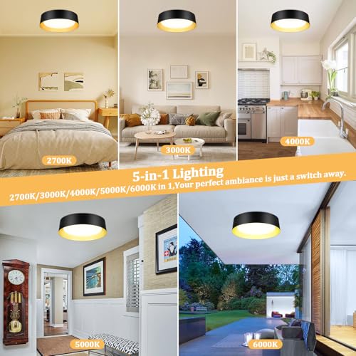 Flush Mount Ceiling Light