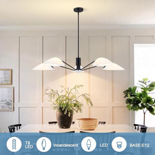 Modern Glass Chandeliers