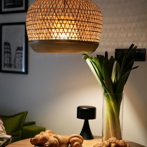 Edison Bulbs E26 LED Bulb 60 Watt Equivalent