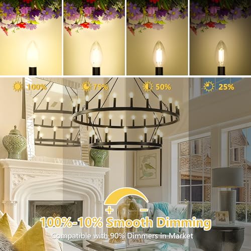 Dimmable E12 LED Candelabra Bulbs 60W Equivalent (12 Count)
