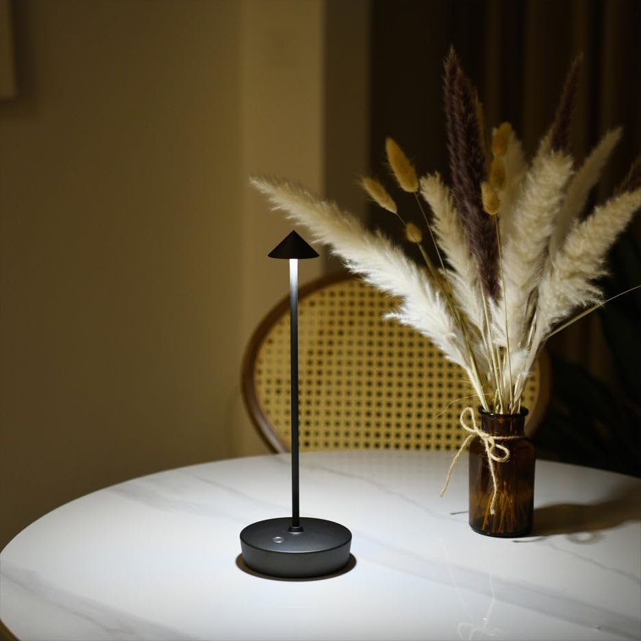 LED Cordless Rechargeable Table Lamps (2 Count)