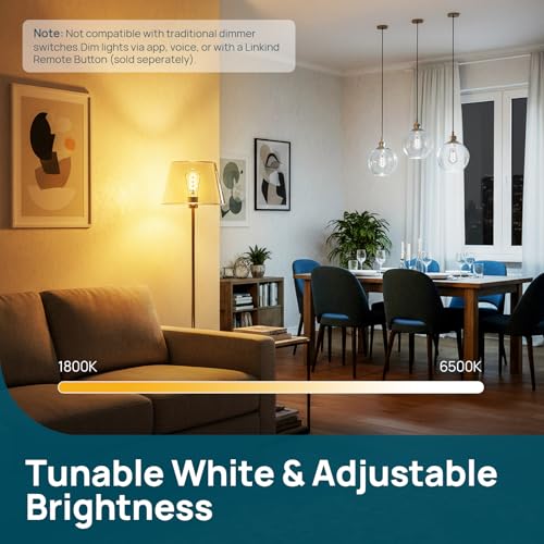 Matter Smart Edison Light Bulbs
