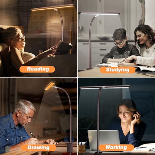 LED Desk Lamp with Clamp