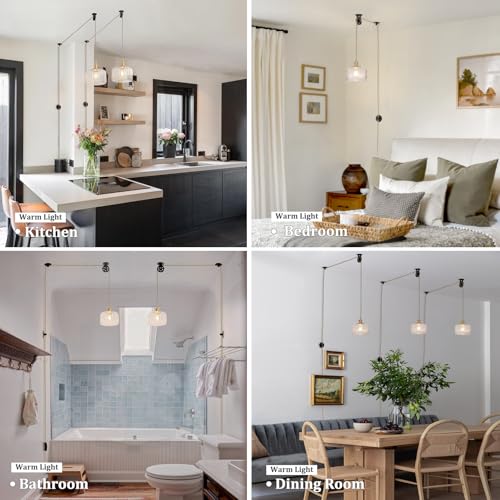 Plug in Pendant Light Hanging Light Fixture Corded On