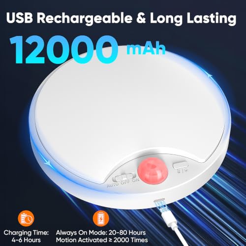 Rechargeable Motion Sensor Ceiling Light