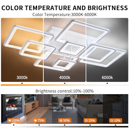Modern Ceiling Light
