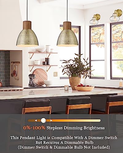2 Pack Hammered Pendant Light Fixtures (2 Count)