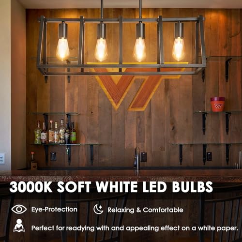 Vintage LED Edison Bulbs (6 Count)