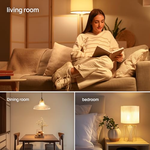 A19 LED Light Bulb (5 Count)